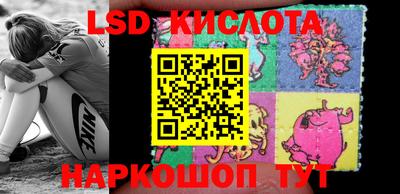 прущие крисы Можга
