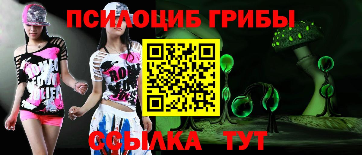 Псилоцибиновые грибы мицелий Энгельс