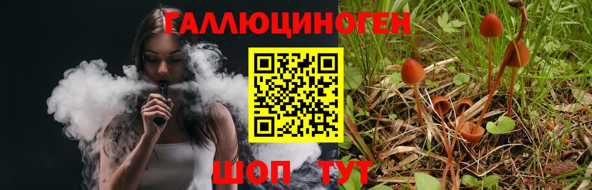 даркнет сайт  Вход с VPN  Энгельс  Галлюциногенные грибы Psilocybine cubensis 